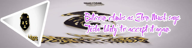 Elon crypto coin